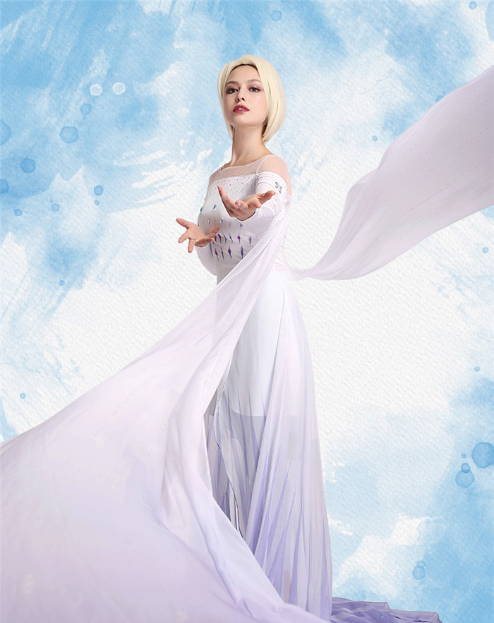 Frozen 2 Elsa Cosplay Costume