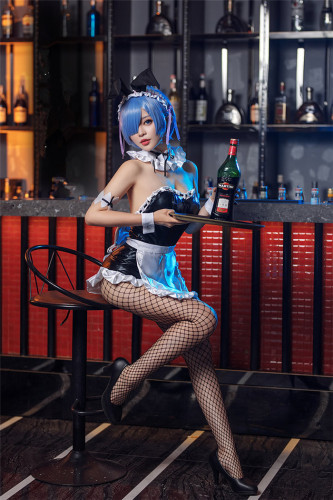 Re: Life In A Different World From Zero Rem Bunny Girl Maid Cosplay Costumes