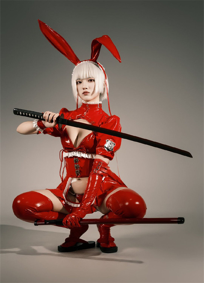 Sexy Maid Bunny Girl Cosplay Costume