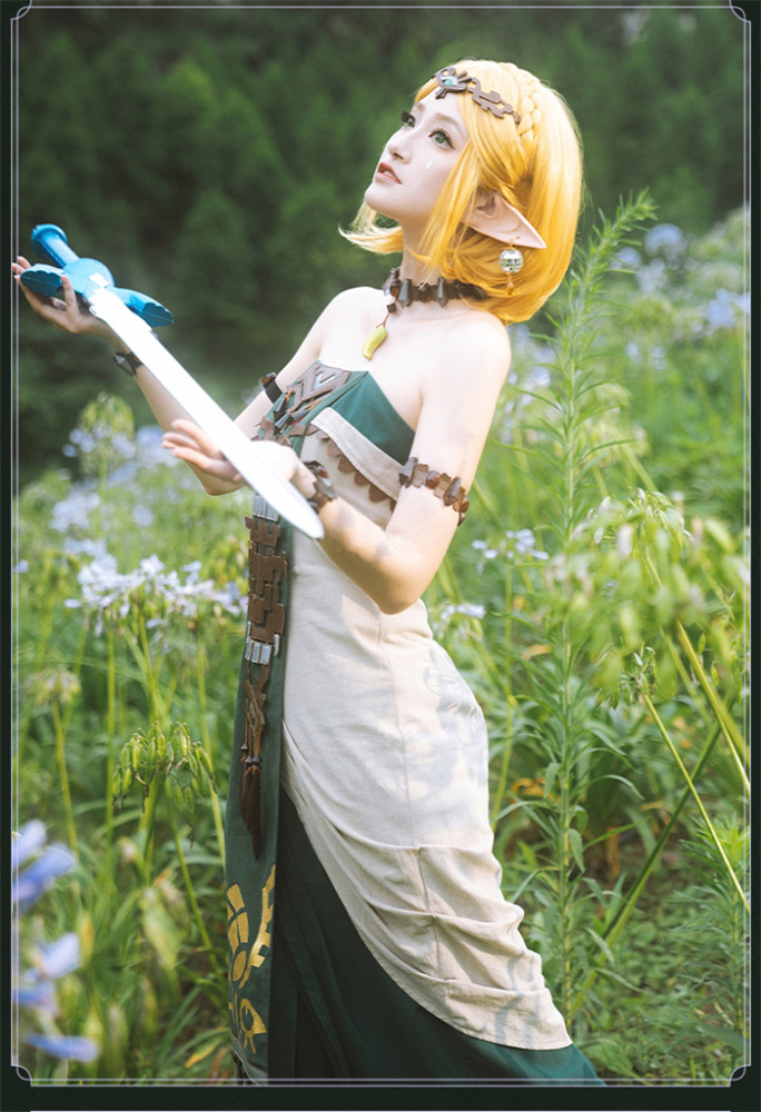 The Legend of Zelda: Tears of the Kingdom Princess Zelda Dress Cosplay Costume