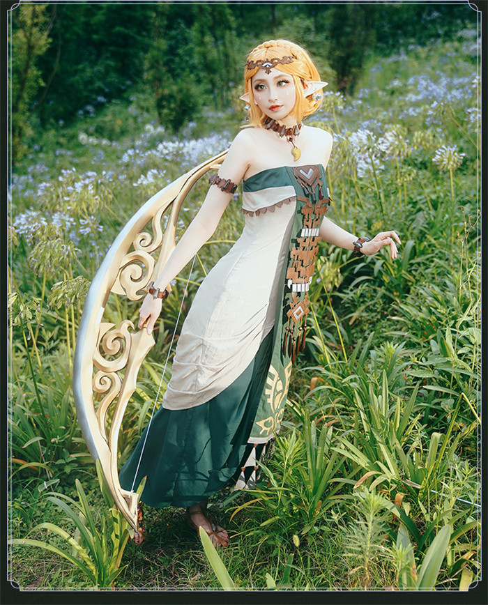 The Legend of Zelda: Tears of the Kingdom Princess Zelda Dress Cosplay Costume
