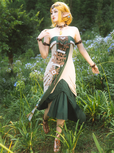 The Legend Of Zelda: Tears Of The Kingdom Link Cosplay Costume