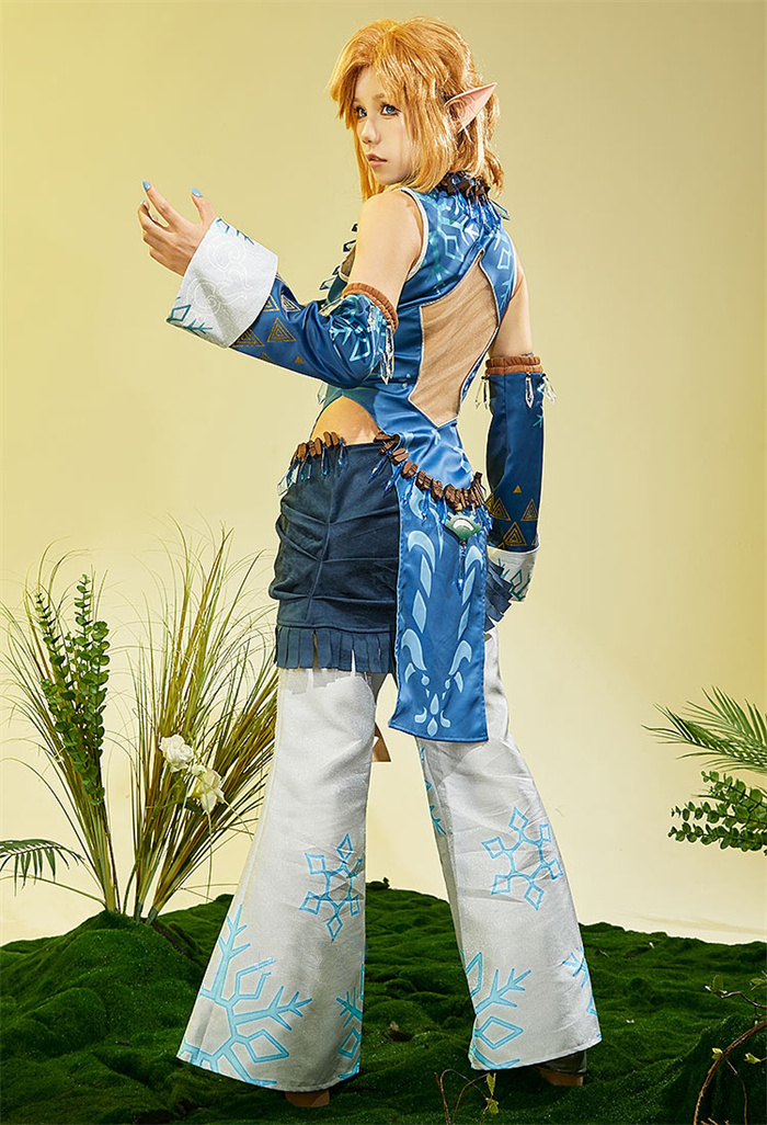 The Legend of Zelda: Breath of the Wild Link Cosplay Costume