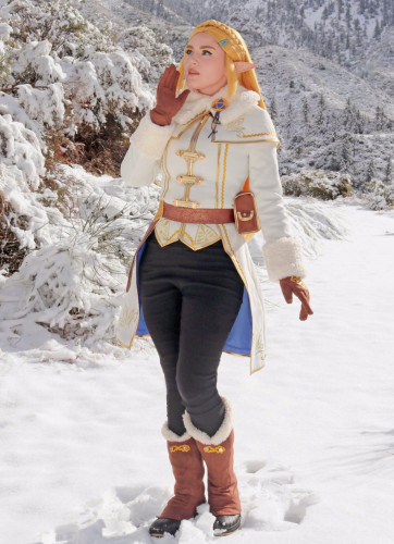 The Legend of Zelda Breath of the Wild Princess Zelda Winter Outfit Coat Dress Set Cosplay Costume