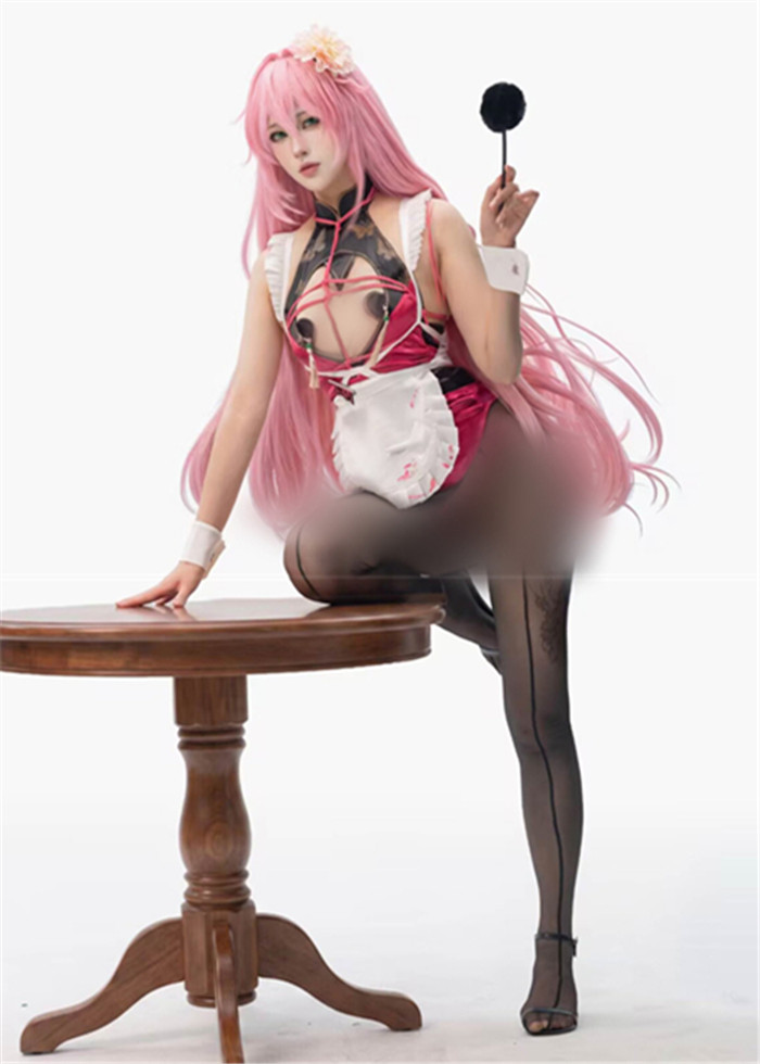 Cute Maid Sexy Costume for Girls and Women