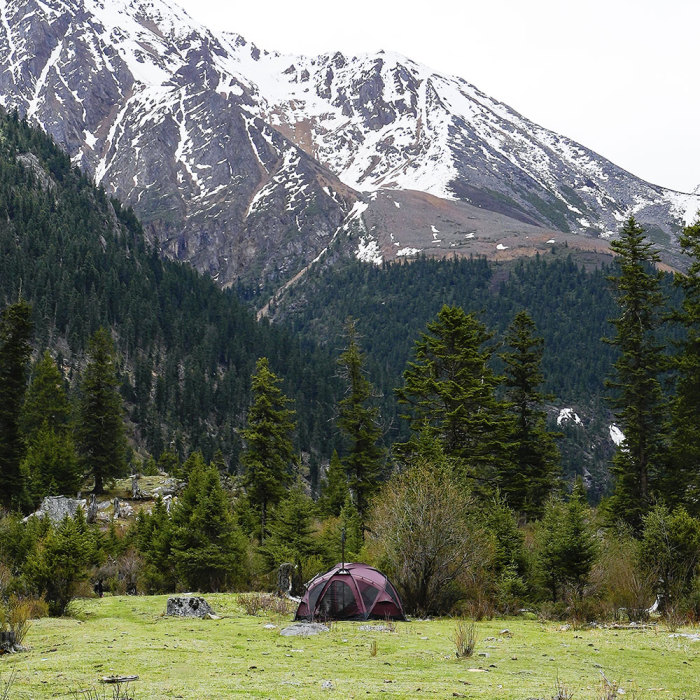 Dôme X6 Pro | Tente de camping autoportante | POMOLY Nouveauté 2024