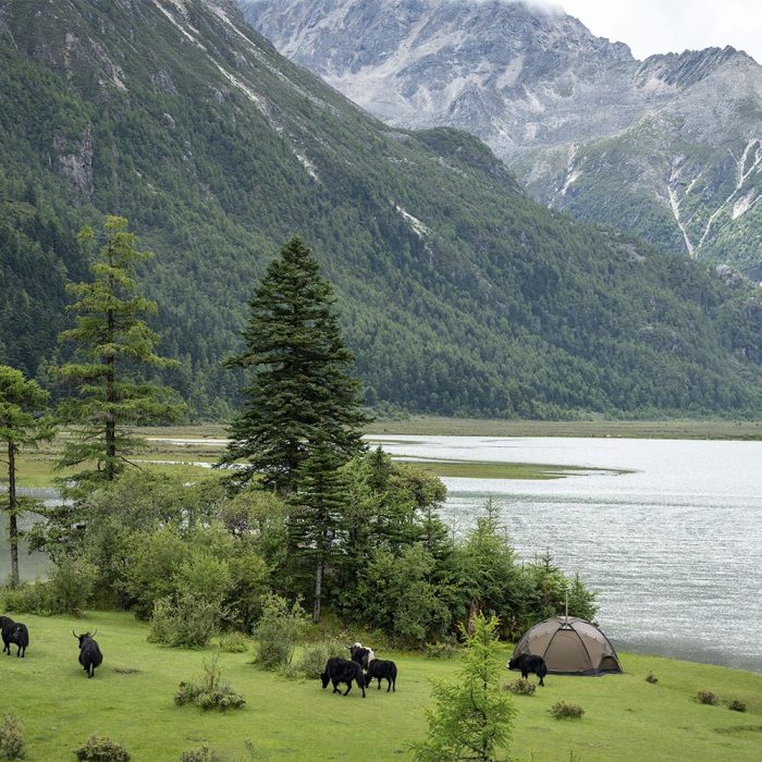 Dome X6 | Tente chaude dôme autoportante | POMOLY Nouveauté 2023