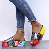 Rainbow Color Thick Bottom Slides  Fashion Female Beach Shoes  YY7057586