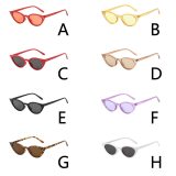 Fashion Vintage Cat Eye Sunglasses S803243