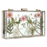 New Acrylic Transparent Crossbody handbag y009110