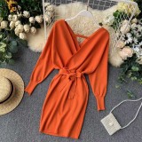 Autumn Winter Women Knitted Sweater Dress  Korean Long Batwing Sleeve V Neck Dresses