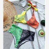 New Print Mini Bikini Swimsuit Swimsuits 6231