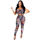 Women Bodysuit Bodysuits Outfit Outfits C3995