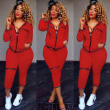 Women's Hooded Long Sleeve Zip Loose Tracksuit Tracksuits Z6043