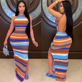 Sexy Striped Print sling Backless Dress Dresses CY1332