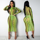 Sexy Women's Snake Print Sheer Mesh Dress Dresses 818596