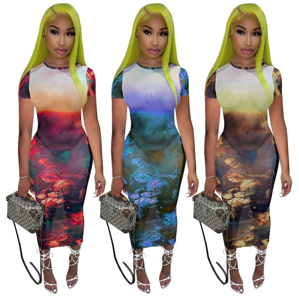 Women's Clothing Perspective Mesh Oil Painting Printing Dress Dresses 4308