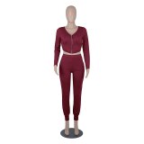 Sexy 2 Piece Set Long Sleeve  Bodysuit Bodysuits Outfit Outfits 2051