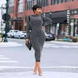 Fashion Long Sleeve Mesh Hot Drill Dress Dresses TZ0006