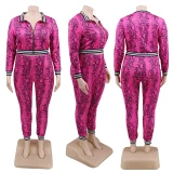 Plus Size XL-5XL Two Piece Set Elastic Bodysuit Bodysuits Outfit Outfits 1217