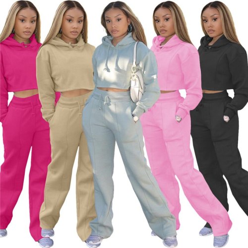 Casual Sweatsuits for Women Hoodies 2 Piece Sets F173