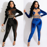 Sexy Mesh See Through Bodysuit Bodysuits SK2261