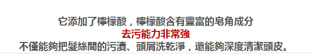 dae10aa96f28948b 生薑何首烏養髮洗髮乳