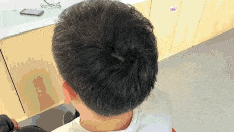 f2007c0d34c80087 生薑何首烏養髮洗髮乳
