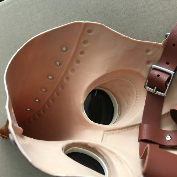 The plague doctor cosplay mask