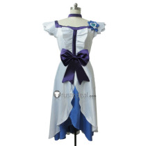 HeartCatch PreCure Yuri Tsukikage Cure Moonlight Cosplay Costume