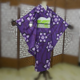 Kimetsu no Yaiba Demon Slayer Ubuyashiki Kagaya Kiriya Kanata Purple Kimono Cosplay Costumes