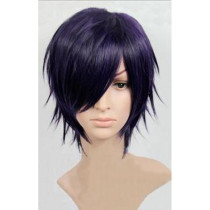 Gintama Takasugi Shinsuke Purple Cosplay Wig