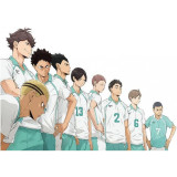 Haikyuu Aobajohsai High Seijou Nekoma High School Volleyball Club Uniform Toru Oikawa Hajime Iwaizumi Akira Kunimi Cosplay Costumes