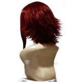 Code Geass Kallen Stadtfeld Cosplay Wig(cg40)