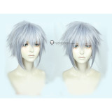 Kingdom Hearts Riku Silver Gray Cosplay Wig