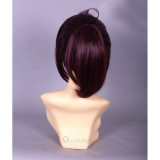 Inu x Boku SS Sorinoduka Lenshou Purple Cosplay Wig