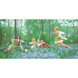 Love Live Land of the Fairies Fairyland Nico Rin Umi Nozomi Kotori Hanayo Maki Eli Honoka Cosplay Costume