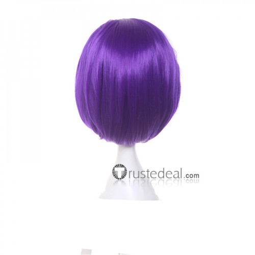 Teen Titans Raven Purple Cosplay Wig