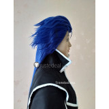 Fate Stay Night Lancer Long Blue Cosplay Wig
