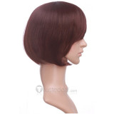 VOCALOID Meiko Nylon Brown Cosplay Wig 30cm