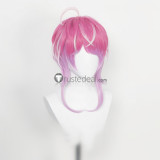 Hypnosis Microphone Division Rap Battle Tsutsujimori Rosho Sasara Nurude Amemura Ramuda Cosplay Wigs