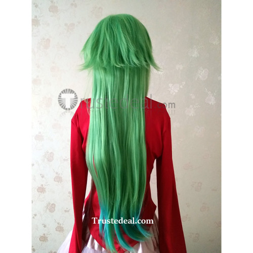 Pokemon N Long Green Cosplay Wig 85cm