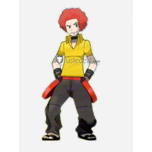 Pokemon Flint Sinnoh Elite Four Yellow Cosplay Costume