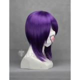 Gintama Silver Soul Terakado Tsu Purple Ponytail Cosplay Wig
