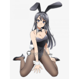 Rascal Does Not Dream of Bunny Girl Senpai Seishun Buta Yarou Mai Sakurajima Black Bodysuit Cosplay Costume