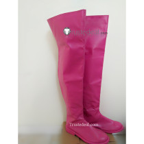 Tokyo Mew Mew Zakuro Fujiwara Mew Zakuro Cosplay Boots Shoes