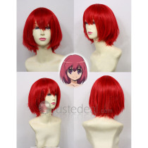 Toradora Minori Kushieda Red Cosplay Wig