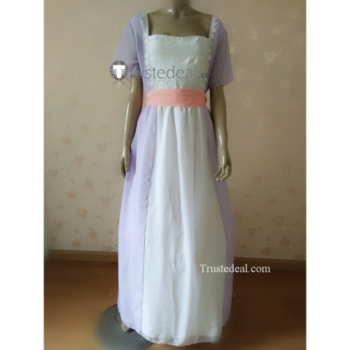 Titanic Rose Chiffon Prom Dress Cosplay Costume Film