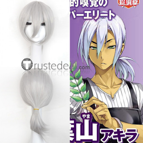Shokugeki no Soma Akira Hayama Silver Gray Cosplay Wig