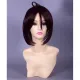 Inu x Boku SS Sorinoduka Lenshou Purple Cosplay Wig